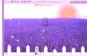 《这就是街舞6》总决赛阵容:张艺兴 王一博回归,国际队长加盟